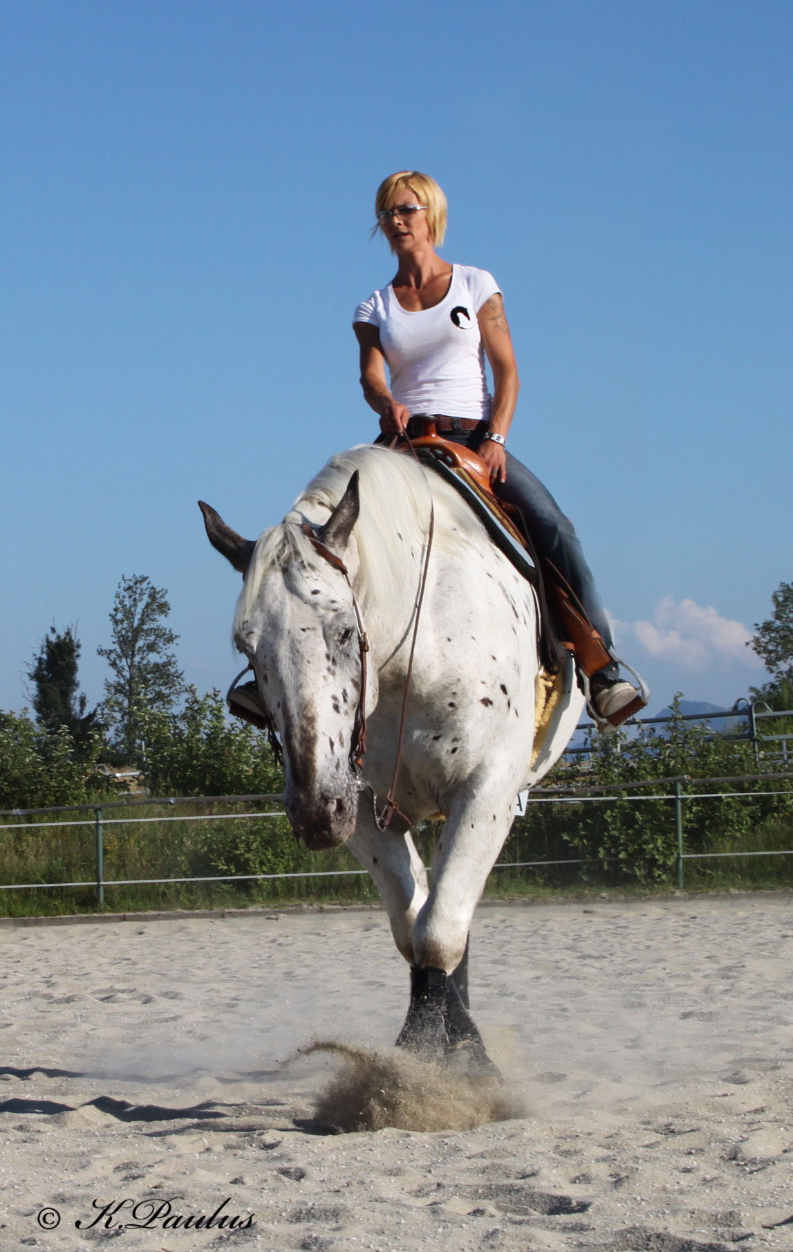 Trainingspferde mit Pferdehanf gefüttert - das Wohlbefinden des Pferdes fördern